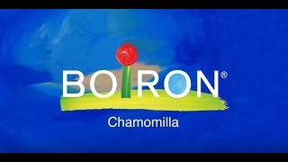 Chamomilla [upl. by Ayiram]