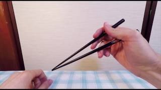 Best Chopsticks Instructional Video [upl. by Pietra]