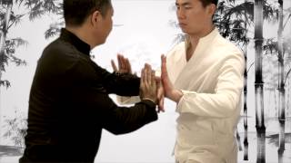 Learn Tai Chi Online with Jet Lis Online Academy  Lesson 5 [upl. by Naginnarb]