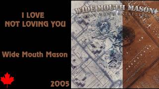 Wide Mouth Mason  I Love Not Loving You [upl. by Bergstrom]