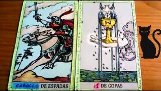 Combinaciones tarot con el CABALLO de ESPADAS  ARCANOS MENORES DE COPAS Por TARA [upl. by Johiah]