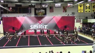 Interboro Hornets Cheerleading 2016 UMBC [upl. by Mika]