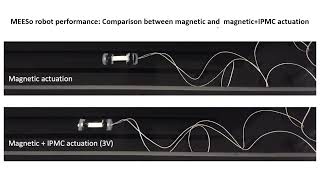 Magneticallyactuated Endoluminal Soft Robot with Electroactive Polymer Actuation [upl. by Neelrak412]