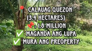 Vlog58📍 CALAUAG QUEZONFARM LOT Please read the description below [upl. by Abshier54]