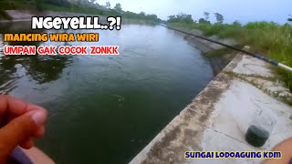 MANCING WIRA WIRI ZONKK‼️survey spot fishing [upl. by Randolf808]