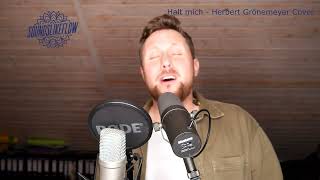 Halt mich  Herbert Grönemeyer Cover [upl. by Johnathon]