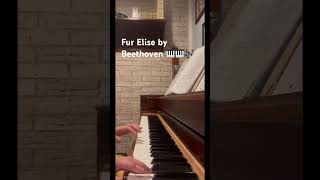 Fur Elise Beethoven’s ￼ [upl. by Heeley110]