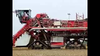 Tulip Bulbs Harvest  Awesome Machines [upl. by Noonberg792]