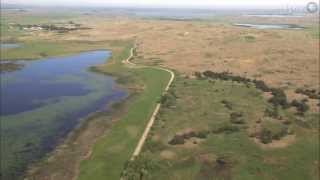 Activists Flood Keystone Pipeline Hearing [upl. by Treble465]