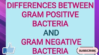 Differences between Gram Positive Bacteria and Gram Negative Bacteria [upl. by Eupheemia]