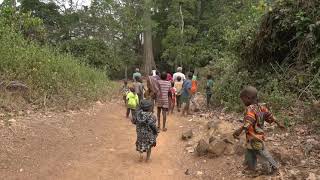 Le village traditionnel de Silakoro Côte d’Ivoire [upl. by Watt828]