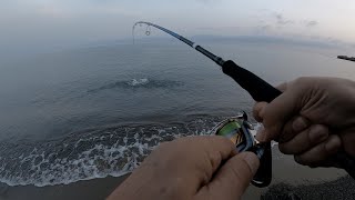 LRF Fishing Cyprus Pomos Pachyammos Ζαργάνα needlefish Ψάρεμα Κύπρος Savage Gear [upl. by Spanjian237]