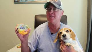 Natures Recipe Wet Dog Food Rusty the Beagle Loves it [upl. by Enicar]