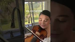 El Gustito violin cover  Aspen Quirico [upl. by Latea]