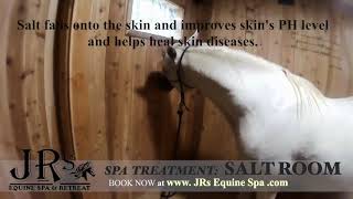 How Equine Salt Therapy Works for Horses  Salt Therapy for Horses  Equine Halotherapy [upl. by Dalt324]