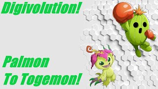 Digivolution Palmon digivolve to Togemon [upl. by Ladnyk335]