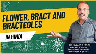 Flower bract and bracteoles in hindi  Dr Praveen Mohil Sir [upl. by Eerrehs]