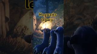 HARRY POTTERquotHogwarts Legacy The MagicFilled Open World You’ve Been Waiting Forquot [upl. by Floria361]