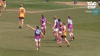 Grand Final Dandenong Stingrays vs Oakleigh Chargers TAC Cup highlights 2018 [upl. by Cogan]