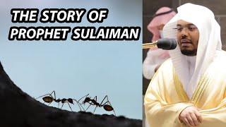 The Story Of Prophet Sulaiman  Sheikh Yasser Dossary  Amazing Recitation From Surah Naml [upl. by Mccoy]