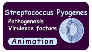 streptococcus pyogenes  Virulence factors  M protein  Streptolysin  Streptokinase  Toxins [upl. by Aerdno]