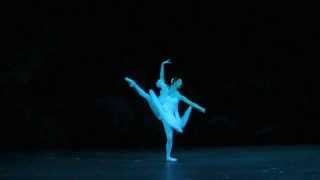 La Bayadere 3rd Shade Variation Bolshoi Ballet [upl. by Monty]