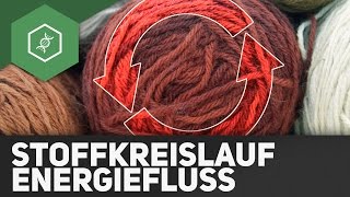 Stoffkreisläufe und Energiefluss  Ökologie [upl. by Wyly]