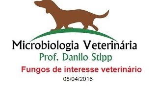 Micro Vet 20152 Aula 11  Fungos de interesse veterinário [upl. by Natassia351]