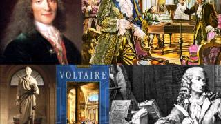 Voltaire 16941778 [upl. by Enneira648]