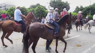 Cabalgata Horse Parade at the Feria de las Flores Flower Festival in Medellin Colombia [upl. by Laws250]