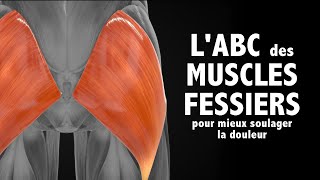 LABC des muscles FESSIERS pour mieux soulager la DOULEUR [upl. by Akkire]