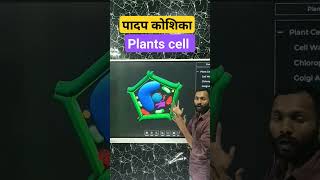 plants cell diagramplant cellपादप कोशिकासम्पूर्ण जानकारी [upl. by Oirotciv149]