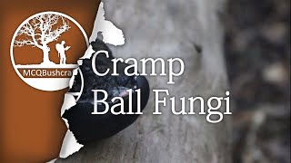 Bushcraft Fire Lighting Cramp Ball Fungi [upl. by Odradlig]