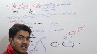 Polysaccharides Lecture 5 Glycogen Starch Cellulose and Iodine test in Urdu Hindi by Dr A Hadi [upl. by Aititel]