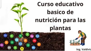 Curso Nutrición Vegetal  Aprende a alimentar a tus plantas 🌱👨‍🌾 [upl. by Akinet]