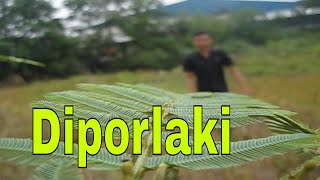 Cover paling bagus lagu diporlaki suaranya selembut [upl. by Riesman]