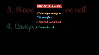 Parts of phloem constituent of phloemvascular tissue of plant plants [upl. by Jack]