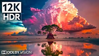 Dolby Vision 12K HDR 240fps  Experience the Unbelievable Nature  8K Earth [upl. by Enyahs]