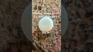 Proving cheese can hit 200 subscribers ￼ [upl. by Marthe]