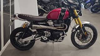 Triumph Scrambler 1200 2023 Model walk around second hand [upl. by Renita452]