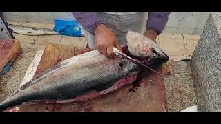 Bluefin Tuna Fish Slice Mastering the Art of Sashimi Preparation [upl. by Lahsram]