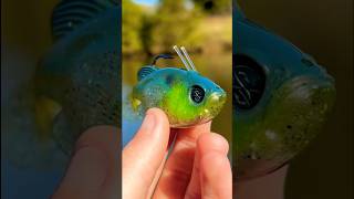 This Swimbait Catches BIG Fish… [upl. by Briscoe]