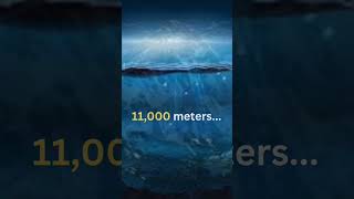 The Ocean’s Unexplored Depths OceanMysteries UnexploredDepths DeepSeaDiscovery [upl. by Une]