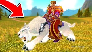 Only 0001 Of WoW Players Own This Mount [upl. by Ahtilat632]