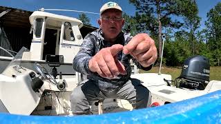 Bream Fishing using a new quotWEEDLEESquot Bream hooks [upl. by Leimaj646]