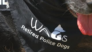 WAGs Retired Police Dogs [upl. by Aihsram]