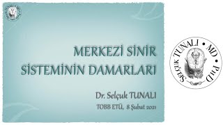 Merkezi Sinir Sistemi Damarları [upl. by Gerhardt]