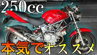 【これがいい】万能すぎるオートバイ！扱いやすくてカッコいい『VTR250』のポテンシャルの高さに衝撃を受けた！！！【最高の相棒】 [upl. by Raasch]