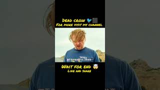 Dead crow reels viralvideo movieclips viralvideo trending foryou youtubeshorts shorts trend [upl. by Pirri]