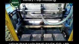 HGHY Rotary Pulp Molding Production Line Egg Tray Making Machine [upl. by Eugor]